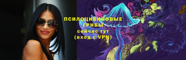 a pvp Арсеньев
