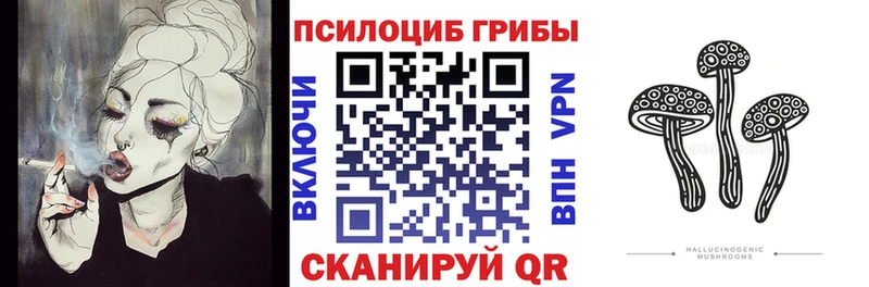 что такое Малоархангельск Галлюциногенные грибы мухоморы